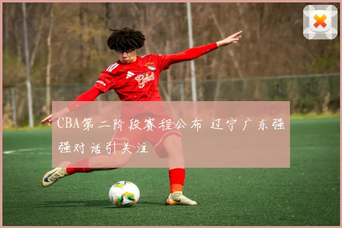 CBA第二阶段赛程公布 辽宁广东强强对话引关注